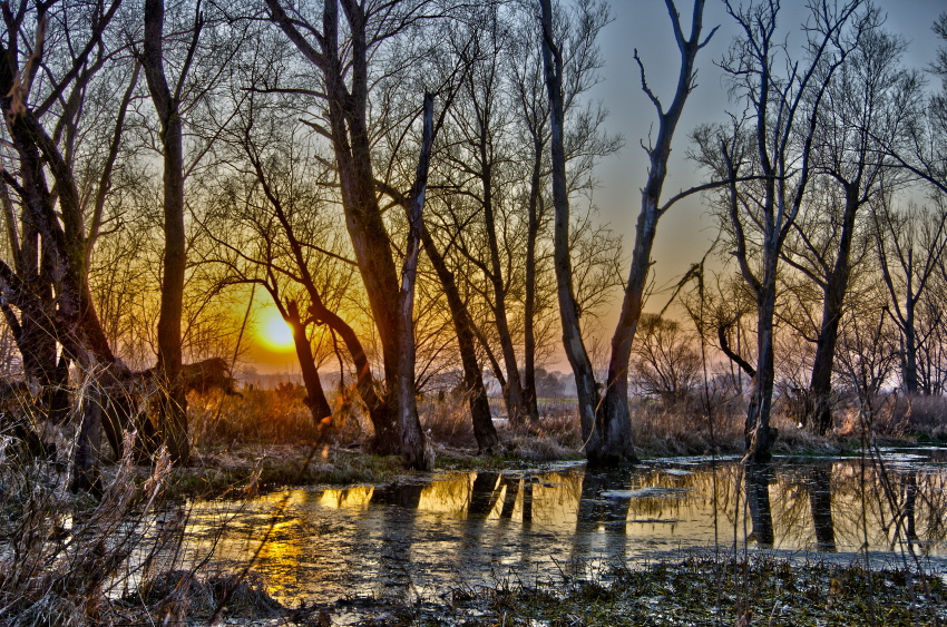 Sonnenuntergang an der Donau