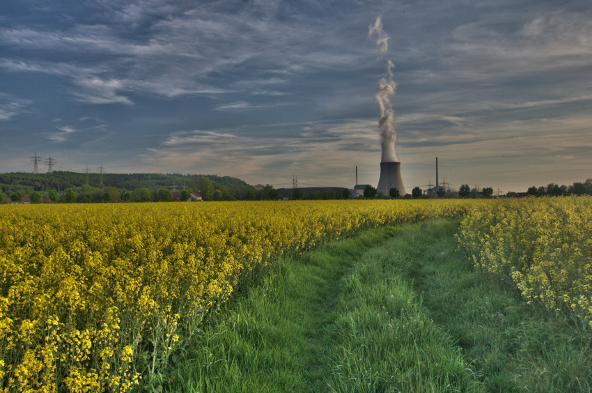 Fotowettbewerb "Nachwachsende Rohstoffe"
